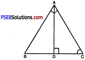 PSEB 10th Class Maths Solutions Chapter 6 Triangles Ex 6.3 19
