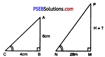PSEB 10th Class Maths Solutions Chapter 6 Triangles Ex 6.3 21
