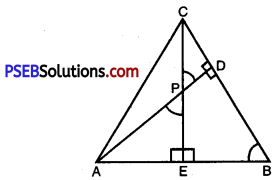 PSEB 10th Class Maths Solutions Chapter 6 Triangles Ex 6.3 24