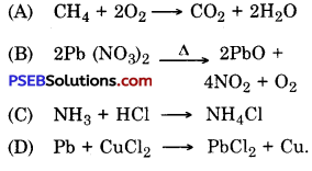 PSEB 10th Class Science Important Questions Chapter 1 Chemical Reactions and Equations 23