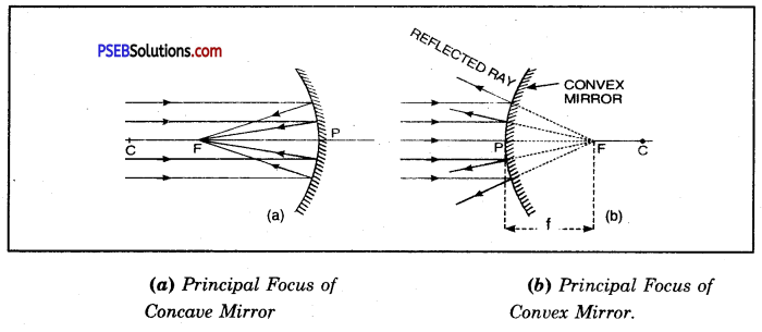 PSEB 10th Class Science Important Questions Chapter 10 Light Reflection and Refraction 17