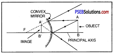PSEB 10th Class Science Important Questions Chapter 10 Light Reflection and Refraction 24