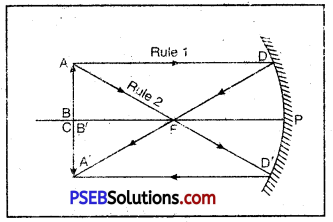 PSEB 10th Class Science Important Questions Chapter 10 Light Reflection and Refraction 3