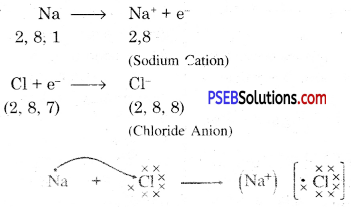 PSEB 10th Class Science Important Questions Chapter 3 Metals and Non-metals 10
