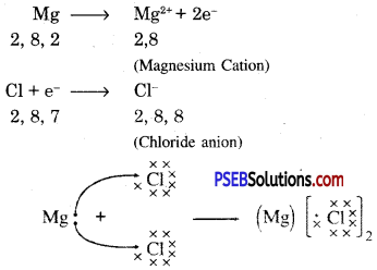 PSEB 10th Class Science Important Questions Chapter 3 Metals and Non-metals 11