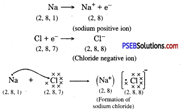 PSEB 10th Class Science Important Questions Chapter 3 Metals and Non-metals 29