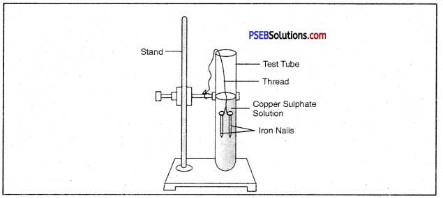 PSEB 10th Class Science Important Questions Chapter 3 Metals and Non-metals 36