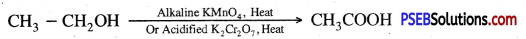 PSEB 10th Class Science Important Questions Chapter 4 Carbon and its Compounds 6