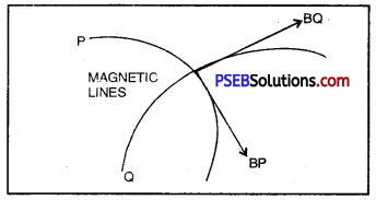 PSEB 10th Class Science Solutions Chapter 13 Magnetic Effects of Electric Current 8