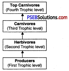 PSEB 10th Class Science Solutions Chapter 15 Our Environment 2