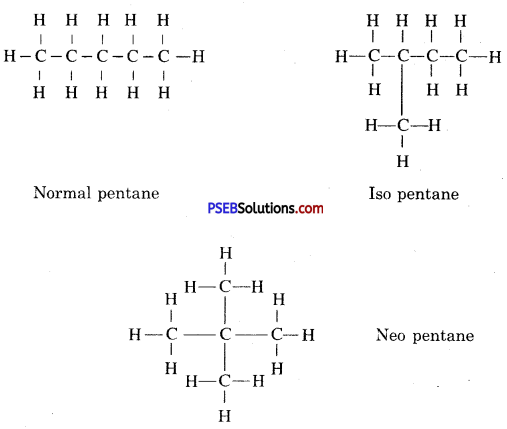 PSEB 10th Class Science Solutions Chapter 4 Carbon and its Compounds 14