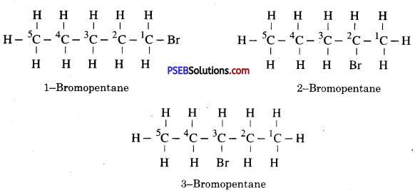 PSEB 10th Class Science Solutions Chapter 4 Carbon and its Compounds 18