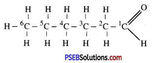 PSEB 10th Class Science Solutions Chapter 4 Carbon and its Compounds 20