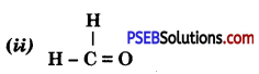 PSEB 10th Class Science Solutions Chapter 4 Carbon and its Compounds 21