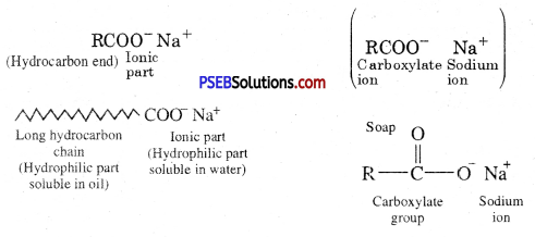 PSEB 10th Class Science Solutions Chapter 4 Carbon and its Compounds 9