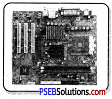 PSEB 6th Class Computer Notes Chapter 6 Hardware and Software 2