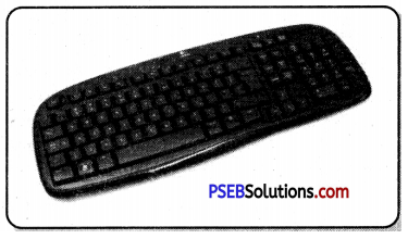 PSEB 6th Class Computer Notes Chapter 7 Input Devices 1