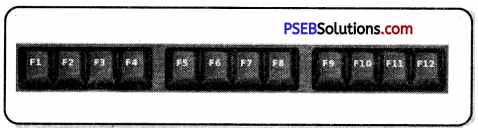 PSEB 6th Class Computer Notes Chapter 7 Input Devices 3