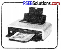 PSEB 6th Class Computer Notes Chapter 8 Output Devices 10