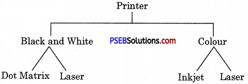 PSEB 6th Class Computer Notes Chapter 8 Output Devices 8