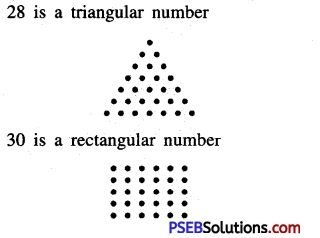 PSEB 6th Class Maths Solutions Chapter 2 Whole Numbers Ex 2.3 6