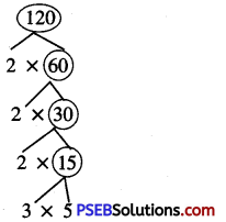 PSEB 6th Class Maths Solutions Chapter 3 Playing with Numbers Ex 3.3 2
