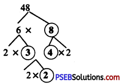 PSEB 6th Class Maths Solutions Chapter 3 Playing with Numbers Ex 3.3 9