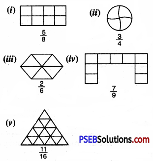 PSEB 6th Class Maths Solutions Chapter 5 Fractions Ex 5.1 3