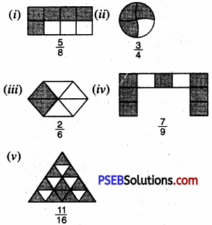 PSEB 6th Class Maths Solutions Chapter 5 Fractions Ex 5.1 4