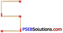 PSEB 6th Class Maths Solutions Chapter 7 Algebra Ex 7.1 9