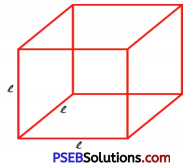 PSEB 6th Class Maths Solutions Chapter 7 Algebra Ex 7.2 4