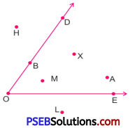 PSEB 6th Class Maths Solutions Chapter 8 Basic Geometrical Concepts Ex 8.3 4