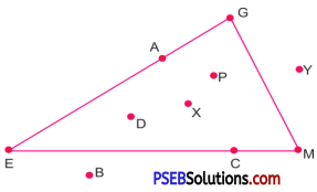 PSEB 6th Class Maths Solutions Chapter 8 Basic Geometrical Concepts Ex 8.4 3