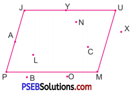 PSEB 6th Class Maths Solutions Chapter 8 Basic Geometrical Concepts Ex 8.5 6