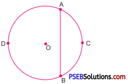 PSEB 6th Class Maths Solutions Chapter 8 Basic Geometrical Concepts Ex 8.6 3