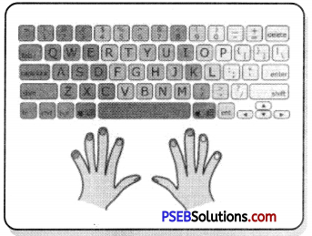 PSEB 7th Class Computer Notes Chapter 1 Typing Tutor 3