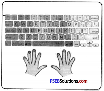 PSEB 7th Class Computer Notes Chapter 1 Typing Tutor 4