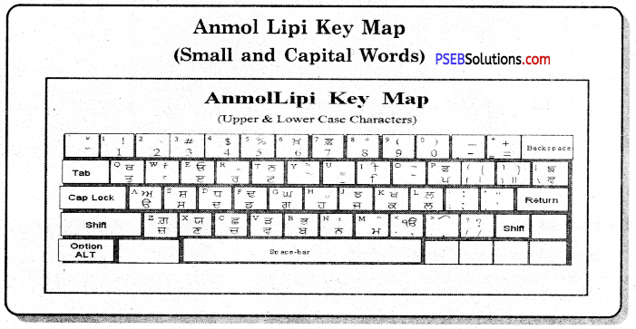 PSEB 7th Class Computer Notes Chapter 1 Typing Tutor 8