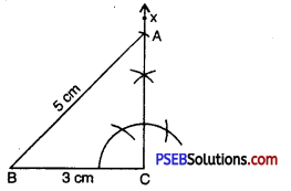 PSEB 7th Class Maths Solutions Chapter 10 Practical Geometry Ex 10.5 5