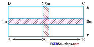 PSEB 7th Class Maths Solutions Chapter 11 Perimeter and Area Ex 11.4 11