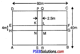 PSEB 7th Class Maths Solutions Chapter 11 Perimeter and Area Ex 11.4 12