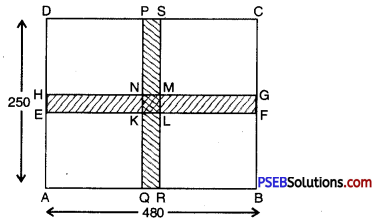 PSEB 7th Class Maths Solutions Chapter 11 Perimeter and Area Ex 11.4 7