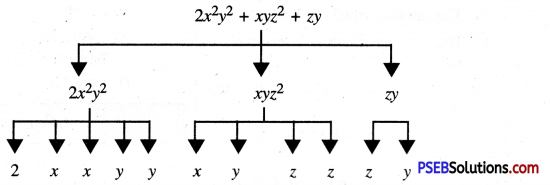 PSEB 7th Class Maths Solutions Chapter 12 Algebraic Expressions Ex 12.1 3