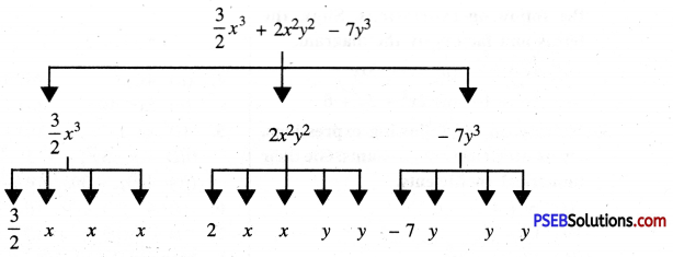 PSEB 7th Class Maths Solutions Chapter 12 Algebraic Expressions Ex 12.1 4