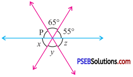 PSEB 7th Class Maths Solutions Chapter 5 Lines and Angles Ex 5.1 13