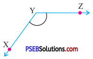 PSEB 7th Class Maths Solutions Chapter 5 Lines and Angles Ex 5.1 5
