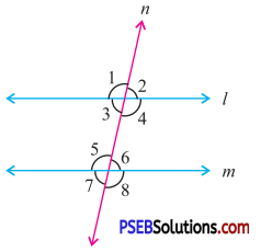 PSEB 7th Class Maths Solutions Chapter 5 Lines and Angles Ex 5.2 1