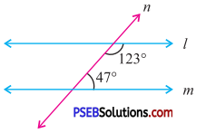 PSEB 7th Class Maths Solutions Chapter 5 Lines and Angles Ex 5.2 17
