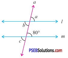 PSEB 7th Class Maths Solutions Chapter 5 Lines and Angles Ex 5.2 3