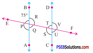 PSEB 7th Class Maths Solutions Chapter 5 Lines and Angles Ex 5.2 6